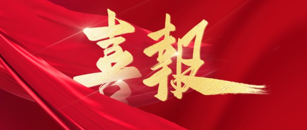 《2022中国银行业IT解决方案市场份额分析报告》：软通动力市场领先